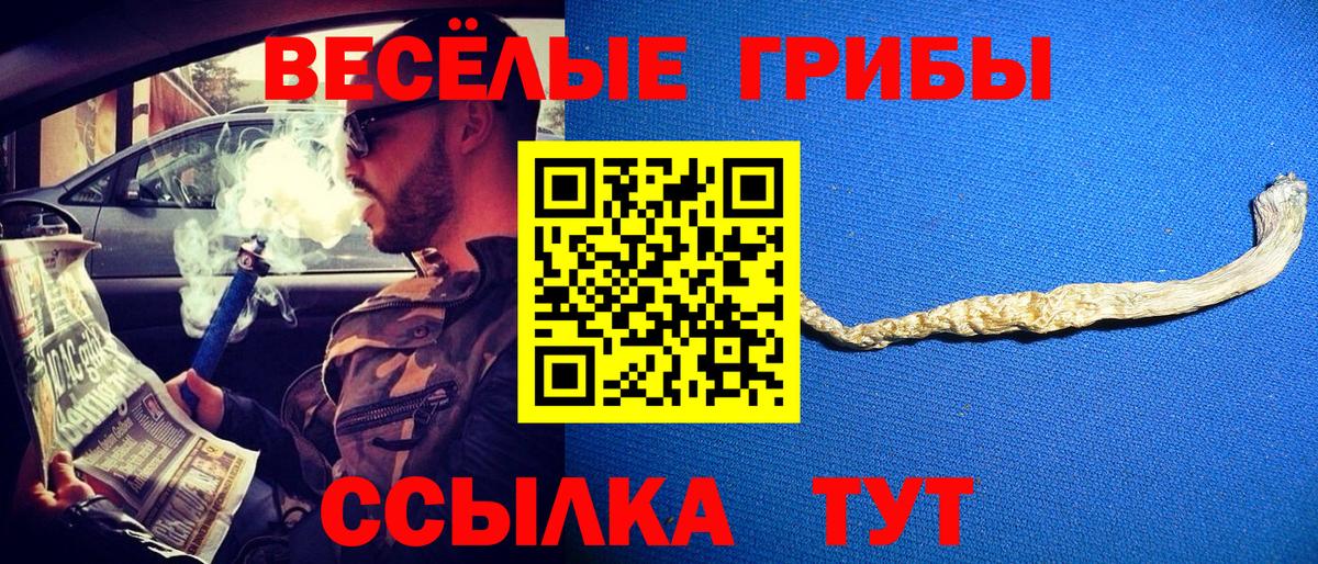 Галлюциногенные грибы MAGIC MUSHROOMS Татарск